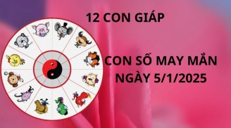 Tử vi ngày 5/1 con số may mắn cho 12 con giáp gặp vận may nhận cơn mưa vàng tài lộc, thăng tiến nhanh