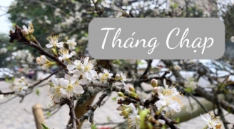 4 điều không nên làm vào tháng 12 Âm lịch kẻo năm tới xui xẻo
