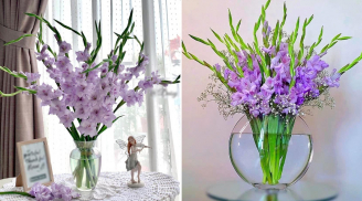 5 loại hoa phát lộc cho năm Ất Tỵ, đặt một bình trong nhà cả năng thịnh vượng, sung túc