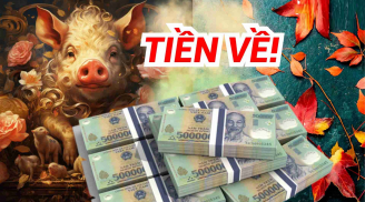 May mắn mỉm cười với người chăm chỉ: 3 tuổi đón 'cơn mưa tiền bạc', 1 tuổi thưởng 'khủng' cuối năm
