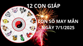 Tử vi ngày 7/1 con số may mắn thần tài ban lộc giàu có cho 12 con giáp, hốt vàng ẵm bạc về nhà