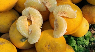 Chọn bưởi Diễn đừng chọn quả to, đây mới là quả ngon mọng nước, ngọt lịm