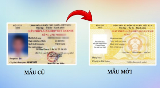Có bắt buộc đổi Giấy phép lái xe cấp trước 2025 sang loại mới không?