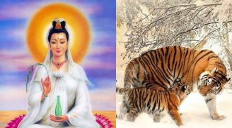 Tháng Giêng đổi vận, 3 con giáp ăn lộc Mẫu tiền tràn vào nhà, giàu nhất là người số 1