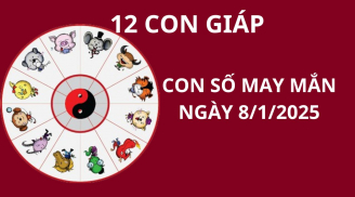 Tử vi ngày 8/1 con số may mắn thần tài ban lộc cho 12 con giáp, nhanh chân thì Tết này sẽ giàu