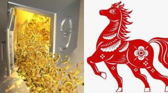 Top 4 con giáp ra đường '1 bước nhặt được tiền, 2 bước vớ được vàng', giàu nhất năm 2025