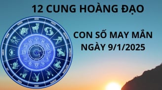 Tử vi ngày 9/1 con số may mắn dành tặng 12 cung hoàng đạo cơ hội làm giàu, chuyển vận phát tài