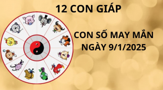 Tử vi ngày 9/1 con số may mắn tổ độ cho 12 con giáp cơ hội phất lên giàu có đổi đời