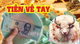 Chúc mừng 3 tuổi ‘sa chân’ vào núi tiền, vùng vẫy trong biển bạc, ăn tết Ất Tỵ cực to