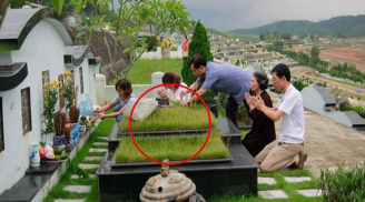 Đi tảo mộ cuối năm thấy thứ này: Chứng tỏ con cháu đời sau đang được che chở, bảo vệ