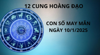 Tử vi ngày 10/1 con số may mắn tặng cho 12 cung hoàng đạo nhanh chân hái lộc nhà trời, vàng bạc đầy túi