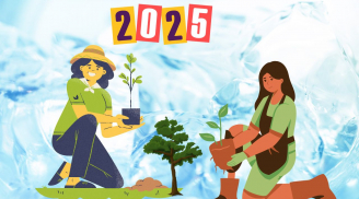 Cuối Giáp Thìn trồng cây cảnh này thì Ất tỵ 2025 có cơ hội giàu sang, cây dễ trồng hút lộc vào nhà