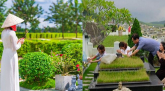 Cuối năm đi tảo mộ nhất định phải nhớ điều này kẻo rước họa về nhà, năm mới xui rủi khó giàu được