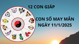 Tử vi ngày 11/1 con số may mắn cho 12 con giáp hưởng lộc tổ tiên ăn lộc nhà trời đổi đời giàu có