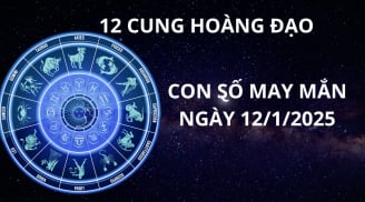 Tử vi ngày 12/1 con số may mắn cho 12 chòm sao nhận lộc trời ban, hứng vàng hốt bạc đầy tay