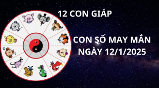 Tử vi ngày 12/1 con số may mắn dành tặng 12 con giáp cơ hội cải vận giàu có, đổi đời nhanh chóng