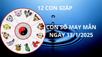 Tử vi ngày 13/1 con số may mắn của 12 con giáp, ai nhanh thì hốt vàng hốt bạc trúng lớn đổi đời