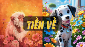 Tuần từ (13-19/1): 4 con giáp đạp trúng mỏ vàng, Tài Tinh theo gót, lộc tràn vào cửa