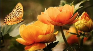 Xuất hiện 3 hiện tượng này thì gia đình đang trên đà suy tàn, nhớ cảnh giác