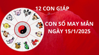 Tử vi ngày 15/1 con số may mắn thần tài ban lộc cho 12 con giáp gặt hái thành công phát tài giàu có