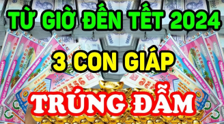 Qua đêm nay đến Tết Ất Tỵ: 3 tuổi Nổ Lộc giàu hơn Thần Tài, 2 tay hứng vàng hứng bạc