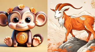Từ 20/1-31/1: Thời đến cản không nổi, 6 tuổi đi đằng Đông hốt bạc đi đằng Tây hốt vàng, số 1 giàu sụ