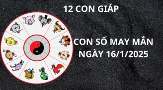 Tử vi ngày 16/1 con số may mắn giúp 12 con giáp ăn lộc thánh gánh lộc trời đổi đời giàu sang