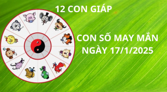 Tử vi ngày 17/1 con số may mắn trời trao cơ hội cho 12 con giáp đổi đời giàu sang hạnh phúc ngập tràn