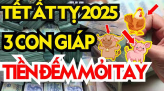 12 ngày nữa đến tết Ất Tỵ 2025: 3 tuổi Đại Phúc Đại Lộc, người đầu tiên giàu đặc biệt