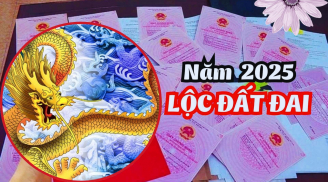 Ất Tỵ 2025 cung Điền Trạch vượng: 3 tuổi được LỘC đất đai, giàu số 2 không ai số 1