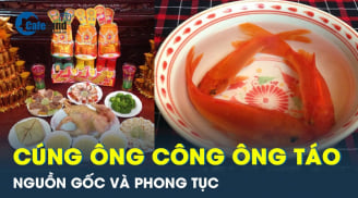 Cúng ông Công ông Táo nên dùng cá chép thật hay giấy: Hoá ra 90% không biết đáp án chính xác