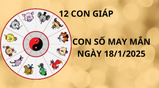 Tử vi ngày 18/1 con số may mắn cho 12 con giáp nhanh chân đón lấy cơ hội đổi đời giàu sang