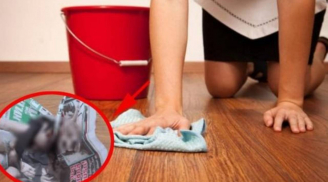 Cuối năm, xé vụn giấy giấy báo rồi rải ra sàn, lợi ích tuyệt vời, ít người biết đến