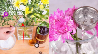 Cách tự pha nước dưỡng hoa tại nhà, không mất tiền mua: Hoa cắm cả tuần hoa vẫn tươi rói