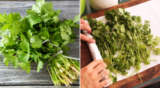 Mẹo bảo quản rau mùi (ngò rí) tươi lâu, để cả tháng vẫn thơm ngon, xanh mướt