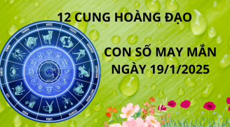 Tử vi ngày 19/1 con số may mắn cho 12 cung hoàng đạo tay trái hứng vàng tay phải nhặt bạc tiền rủng rỉnh