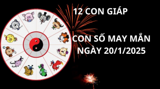 Tử vi ngày 20/1 con số may mắn trời ban tặng 12 con giáp cơ hội giàu sang, một bước thành giàu sang