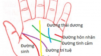 Xem chỉ tay đoán vận mệnh - Người làm sao, tay làm vậy