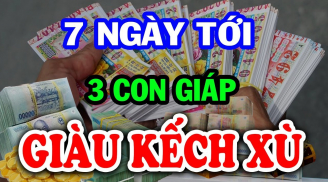 7 ngày cuối cùng năm Giáp Thìn: 3 tuổi Tiền Tài Hội Tụ, đại cát đại lợi, nhất là tuổi số 2