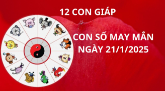 Tử vi ngày 21/1 con số may mắn 12 con giáp nhanh chân đạp trúng hố vàng đổi đời giàu sang