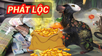 Hết hôm nay 20/1/2025: 4 con giáp lộc chảy về túi, Tết Ất Tỵ đếm tiền mỏi tay