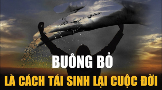 Sống ở đời, người khôn ngoan sẽ biết dửng dưng buông bỏ 4 điều này