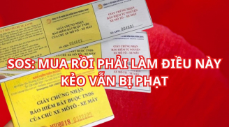 Thời hạn của bảo hiểm xe máy bắt buộc là bao lâu? Chú ý mua bảo hiểm xe kẻo có rồi vẫn bị phạt