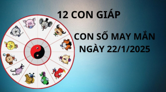 Tử vi ngày 22/1 con số may mắn mang vàng bạc đặt vào tay 12 con giáp, trao ngay cơ hội đổi đời