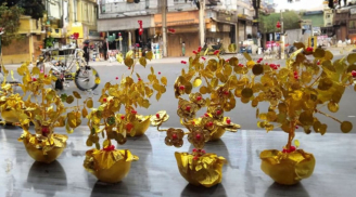 Đầu năm du xuân lễ Tết chớ mang cành vàng lá ngọc về ban thờ. Nhiều người làm sai tài lộc đi mất