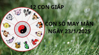 Tử vi ngày 23/1 con số may mắn Thần tài tặng 12 con giáp cơ hội trúng lớn nhận cơn mưa vàng tài lộc