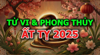 Dự báo năm Ất Tỵ 2025: '7 rồng trị thủy, 4 trâu cày ruộng', là tốt hay không?