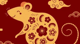 Người tuổi Tý sinh vào 2 tháng này sẽ trở thành ông hoàng của thịnh vượng, giàu sang, sống thọ