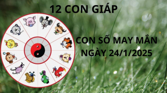 Tử vi ngày 24/1 con số may mắn tổ tiên ban lộc cho 12 con giáp một bước đổi đời sang trang giàu có