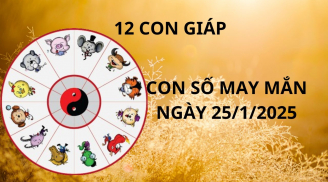 Tử vi ngày 25/1 con số may mắn số vàng tài lộc trời thương tổ độ cho 12 con giáp cơ hội giàu sang